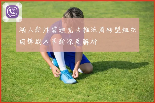 湖人新帅雷迪克力推浓眉转型组织前锋战术革新深度解析